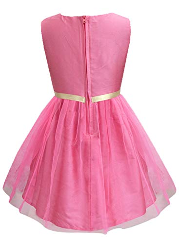 Image of A.T.U.N. (All Things UBER Nice) Girl's Skater Knee Length Embroidered Sleeveless Stylish Party Dress