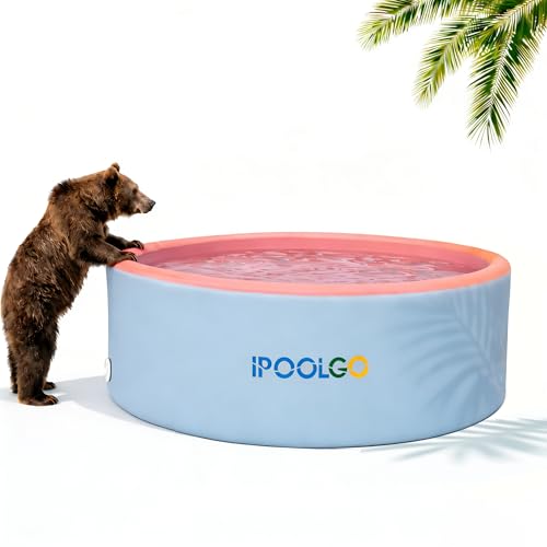 IPOOLGO Extra Large Inflatable Pool 10.2ft X 48in Extra Large and Thickened Family Inflatable Pool Suitable for Summer Outdoor Water Party Use.Inflatable Pump and Sand Filter Pump Not Included.