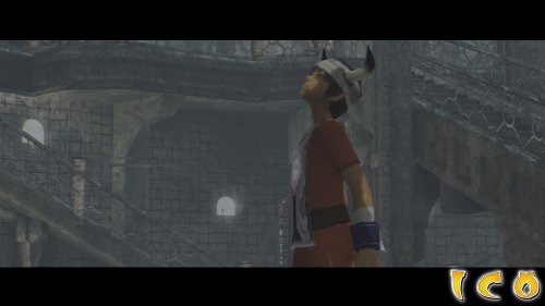 Ico and Shadow of the Colossus Collection PS3 [import US] (Jeu en Francais)