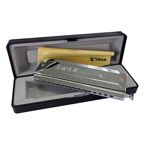 Harmonica Harmonica coloré 14 trous 56 instruments d’orgue à bec C ABS Comb harpe Professional instruments key - Les Beatles, Paul McCartney, John Lennon, RIngo Starr, George Harrison Harmonica Harmonica coloré 14 trous 56 instruments d'orgue à bec C ABS Comb harpe Professional instruments key – Image 7