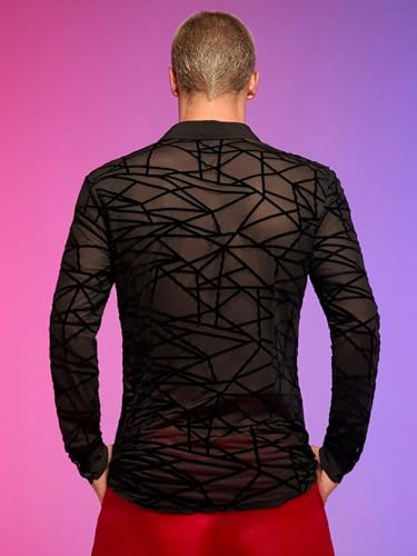 WDIRARA Men's See Through Mesh Shirt Collared Long Sleeve Textured Shirt Tops3