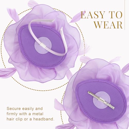 Image of DRESHOW Fascinators Hat Tea Party Headwear Ribbons Feathers on a Headband and a Clip for Women