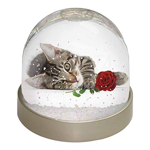 Tabby Kitten Snow Globe with Rose Cover