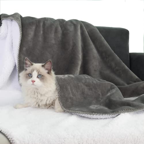 Softhug Dog Blanket Waterproof Pet Blanket For Bed Couch Sofa Car, Super Soft And Warm Puppy Blanket For Dogs Puppies Cats, Fleece Sherpa Throw Furniture Protector 50" X60" Inches #TOP1