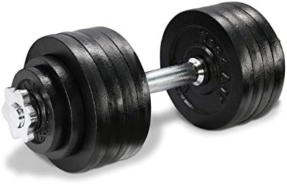 Lion Roar Fitness InfiDeals Adjustable Cast Iron Dumbbells with Solid Dumbbell Handles - Perfect for Home Gym System- Building Muscle