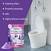 Toilet Bowl Cleaner, Cleanings Powder, Scented Cleaning Cleaner for Toilets, Touch-Free Foaming Bathroom Clean Foaming Powder (2)