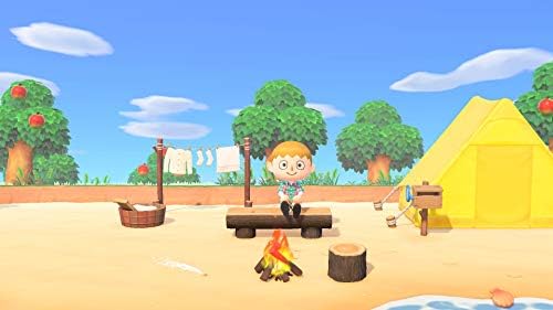 Animal Crossing: New Horizons (CAN Version) - 3