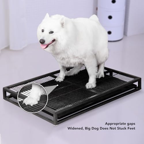 Dog Potty Training Tray with Detachable Drawer - 24.4x16.9 Inches