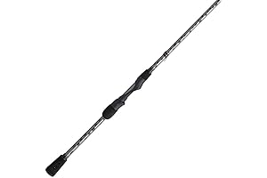 Abu Garcia Vengeance Spinning Fishing Rod: The Ultimate Light Fishing Companion