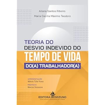 Capa do livro Teoria do Desvio Indevido do Tempo de Vida do(a) Trabalhador(a)