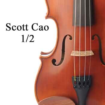 Amazon.com: Scott Cao Violin Outfit 1/2 Size Model STV017