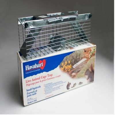 Pest Stop Systems Ltd Havahart Squirrel trap (cage)