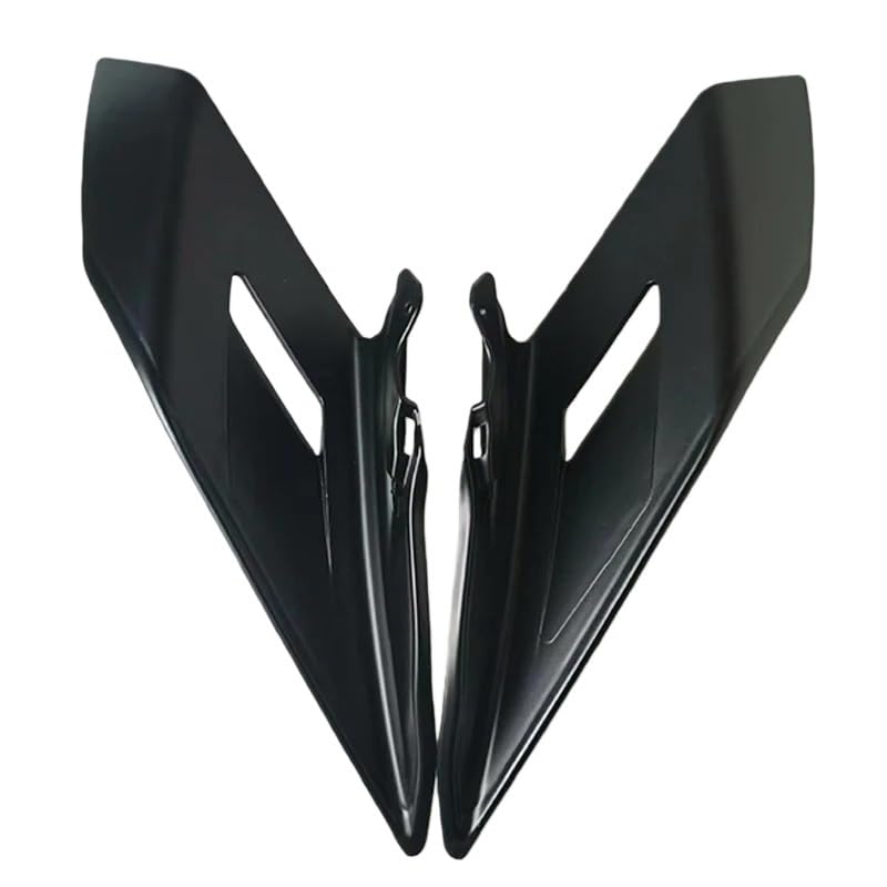 Ailerons Avant Fixes Moto pour Flanc de Réservoir 450 SR en Sortie Circuit