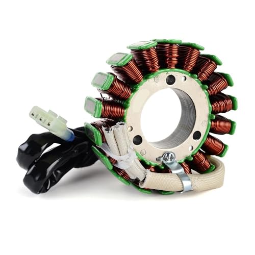 Bobine de stator RR4T 350EFI avec bobinage renforcé haute performance 2015-2019