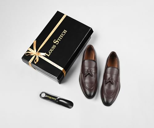 Image of LOUIS STITCH Men's Shoes Tassel Style Comfortable Moccasins for Men (RGMCPLTA)