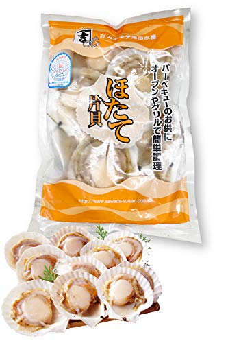  ق ЊLt z^e 10×10܁yⓀz o[xL[ CN bbq zO