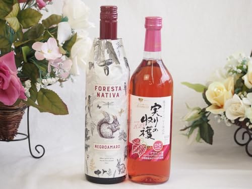 C^AiԃCƍYCZbg(̎n [C Ì(R)720mltBybeB S[h ubg (C^A) 750ml