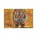 WANGJINGHUA Manteles Individuales Rising Sun Tiger Print Juego de 4 manteles Individuales Lavables Resistentes al Calor para Mesa de Comedor 30X45CM
