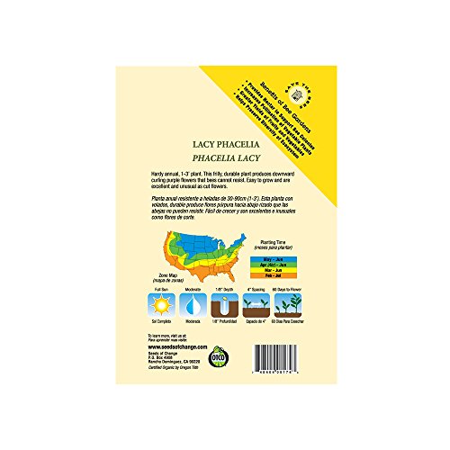 Seeds Of Change 8174 Lacy Phacelia Flower, Purple #TOP2