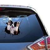 Autocollants de voiture pour chien Border Collie Rouge Border Collie Cadeaux mignons d'avertissement de voiture jouets pour enfants Autocollant de camion en vinyle
