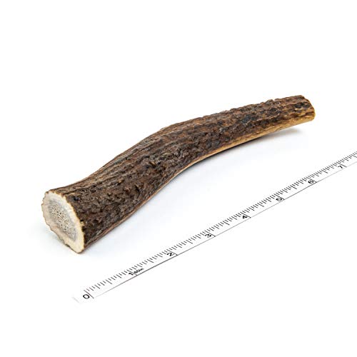 Devil Dog Pet Co Antler Dog Chew - Premium Elk Antlers for Dogs