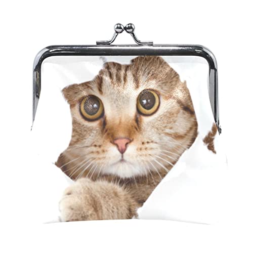 K ܌z RCP[X  lC ~jz fB[X 킢 L F  RpNg