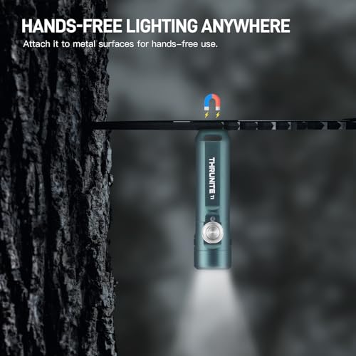 Image of ThruNite Ti Keychain Flashlight, USB-C Rechargeable EDC Pocket Light, 650 Lumens with Magnetic Tailcap, 5 Modes, IPX-6 Waterproof Mini Flashlight for Camping, Everyday Carry (Genie Blue)