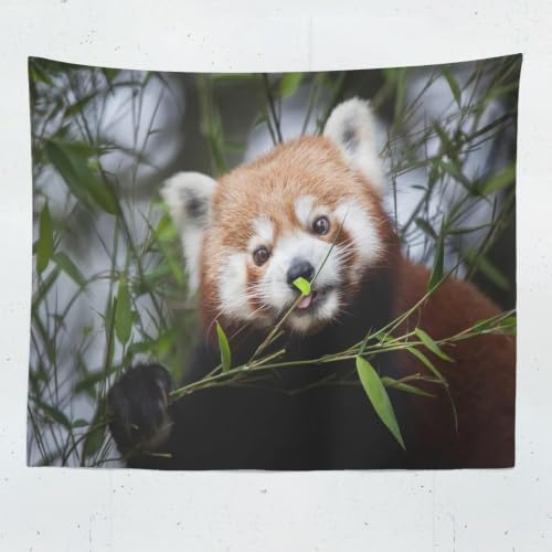 Tapisserie 220x240 cm pour cacher un mur nu : décoration microfibre grand format
