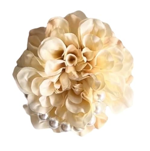 Lomeri  sIׂSFWJtip[̃RT[W w Ǝ  (N[x[W)