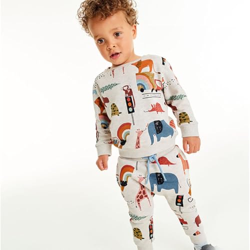 Boys Sweatshirts Casual Sweatshirts Cotton Sweatshirts Long Sleeve T-shirts Crew Neck Cartoon Tops for Boys-3093