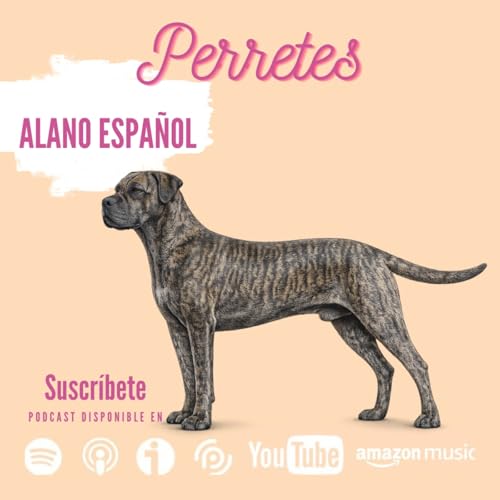 Ep108: Alano espa&ntilde;ol