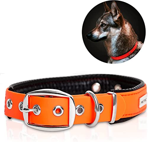 PetTec® Trioflex - Collare per Cani - Adatto per Taglie Piccole, Medie e Grandi - Collare Cane Confortevole e Resistente - Ideale per Pitbull, Bulldog Francese, Retriever - Collari per Cuccioli e Cani