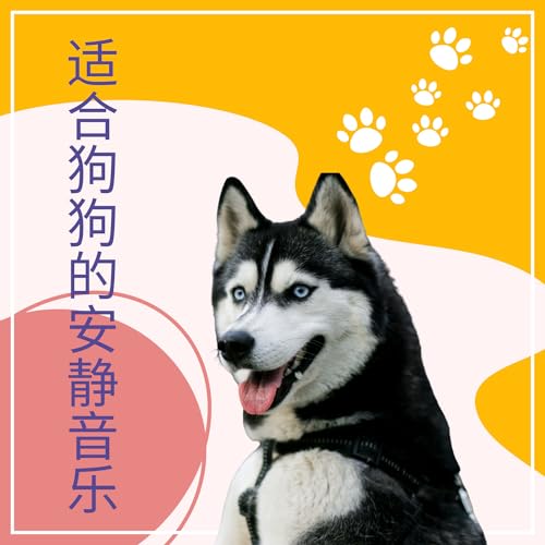 Amazon Musicで小狗的器乐摇篮曲の适合狗狗的安静音乐 – 让小狗平静,放松的自然声音,减少焦虑,增加平静感を再生する