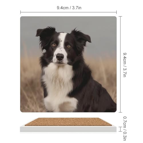 Dessous de verre Border Collie en céramique absorbante lot de 4 pour table basse - 3