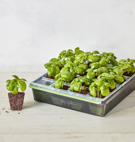 Image of Burpee SuperSeed Starting Tray | 16 XL Cell | Reusable & Dishwasher Safe | for Vegetable, Flower & Herb Seeds | Indoor Grow Kit for Deep-Rooted Seedlings, Green
