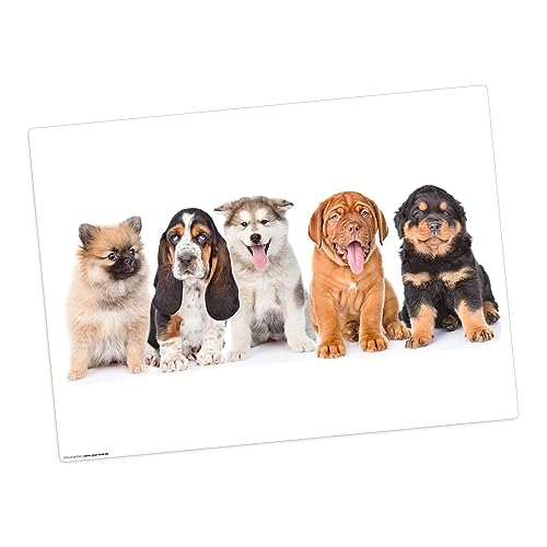 Tischset | Platzset abwaschbar – 5 süße Hundewelpen – 44 x 32 cm – aus hochwertigem Vinyl