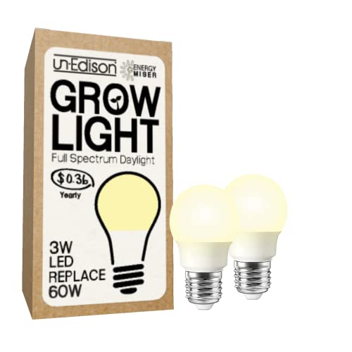 Bulb Replacing 60w (2-pack)