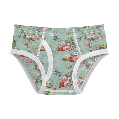 Boys' Exclusive Briefs Toddler Underwear 95% Combed Cotton Boxerbriefs 2T Soft Floral Pattern 15