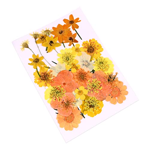 Kit de 40 flores prensadas secas Angoily para manualidades