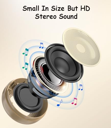 Portable Bluetooth Karaoke Microphone