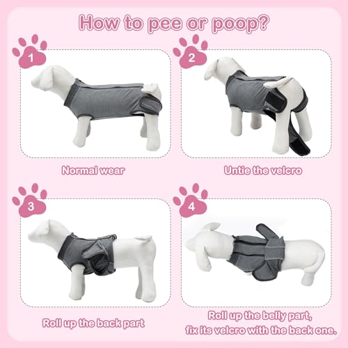 Winmily Traje de recuperação de esterilização para cães, roupa cirúrgica para cães, fêmea, macho, co