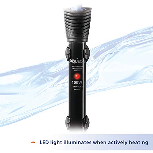 Image of Aqueon Submersible Aquarium Heater, 100 Watts, Up to 40 Gallons | 100 watt aquarium heater for freshwater and saltwater tanks, adjustable 68-88AF with auto shut-off