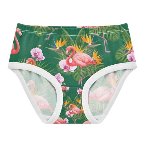 Pink Flamingos Toddler Girls Panties, Girls Panties, 2T–8 Years