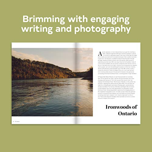 Forest: (Tree Photography Book, Nature and World Photo Book): A Journey Through Wild and Magnificent Landscapes