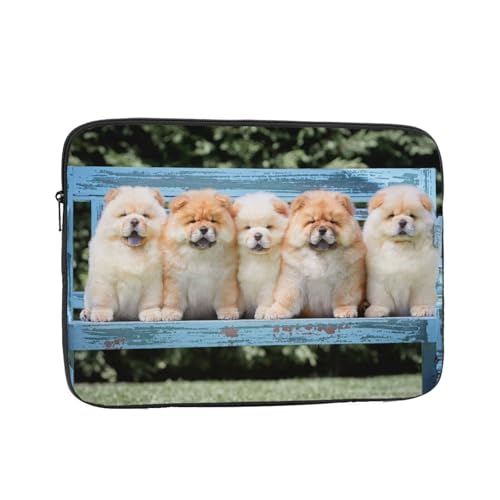 Ή `E`E 킢 q 10 Inch PcP[X Pc[Jo m[gpc P[X rWlX 