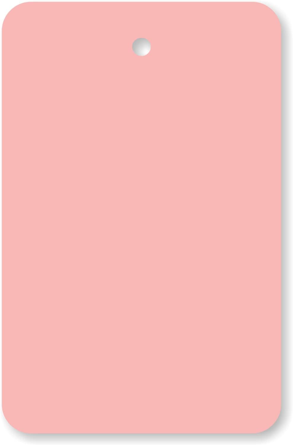 SmartSign Pink Garment Blank Tags - 1000 Pack, 12pt Thick Cardstock Clothing Labels, 2.875" x 1.75" Merchandise With Eyelet, Colored Retail Without Strings
