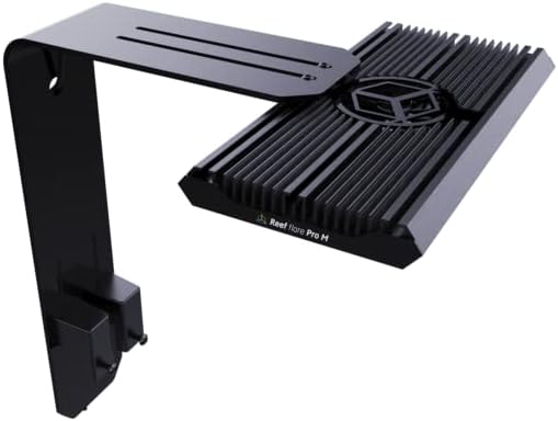 Reef Flare Pro Arm Black M/L