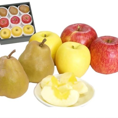 R`Y tX񂲋lAS[htX3ETӂ3EVimS[h͂͂邩3A2.5kgAGi