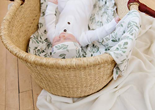 Image of Baby Beanie Hat Top Knot Stretchy Soft inchFern inch by Copper Pearl