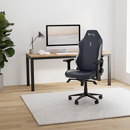 Secretlab Titan Evo chair